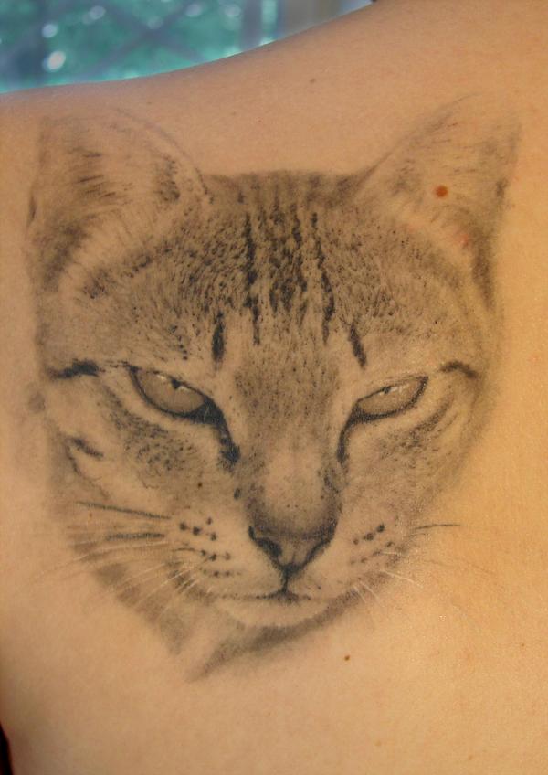 Sergey Rikhter Cat Tattoo