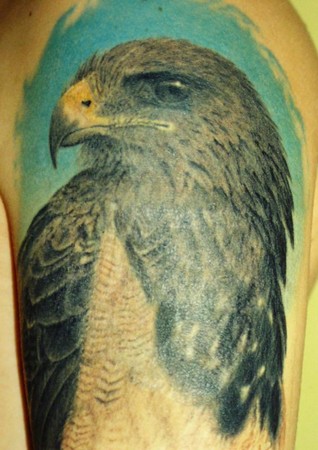 tattoo hawk (126) freehomeblogs.in (view original image)