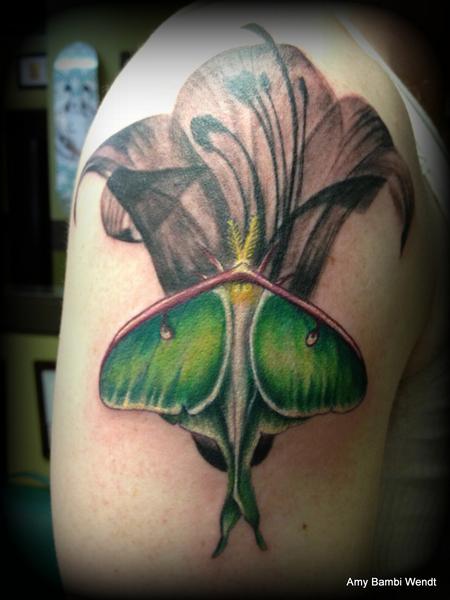 tattoos/ - Luna moth - 66330