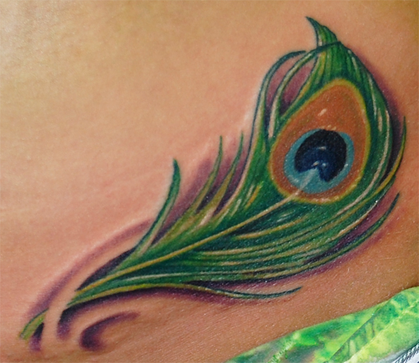 peacock feather tattoos. peacock feathers tattoos