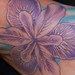 Tattoos - Tiger Iris - 34910