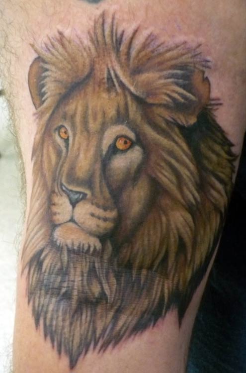lion tattoos. Stretch - Color Lion Tattoo
