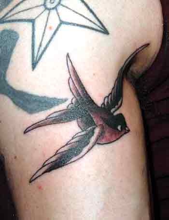 Looking for unique Traditional Old School tattoos Tattoos Swallow sparrow