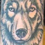 Wolf Tattoo Design Thumbnail