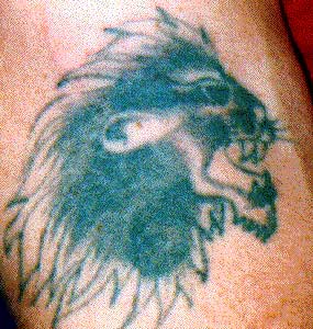 Wildlife Designs Tattoo Galleries: Lion design