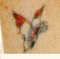 Wildlife Designs Tattoo Galleries: Butterfly design