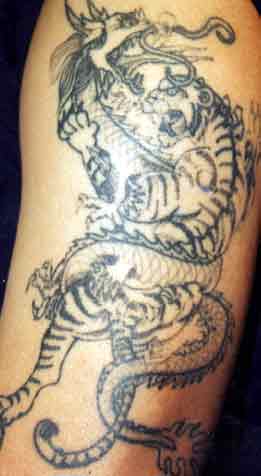 Wildlife Designs Tattoo Galleries: Tiger design