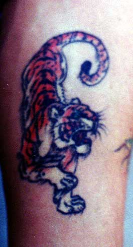 Wildlife Designs Tattoo Galleries: Tiger design