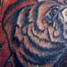 Bad Tattoos Tattoo Galleries: skin rip bear
 design