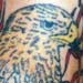 Wildlife Designs Tattoo Galleries: Bird design