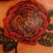 Really bad tattoo Tattoo Galleries: Tiger / Flower design