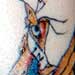 Wildlife Designs Tattoo Galleries: bird design