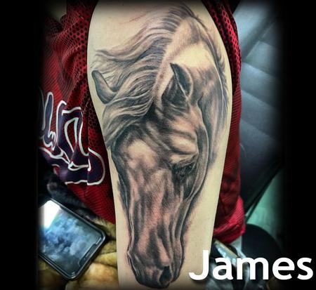 Nature Animal Horse - start of sleeve 