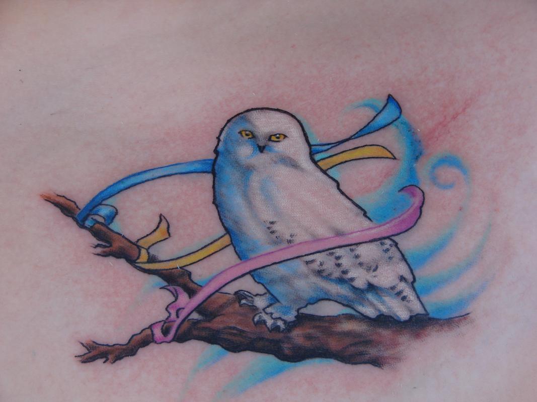 Forbidden Images Tattoo Art Studio : Tattoos : Color : Cancer ribbon snow  owl