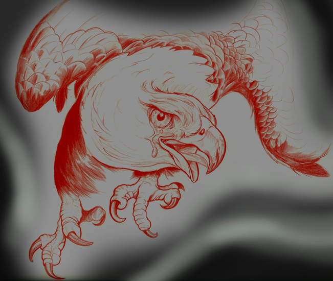 landing eagle drawing
