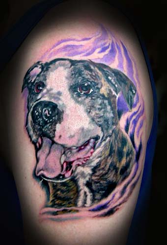 Comments: This color portrait tattoo was done yesterday. Clients best friend 