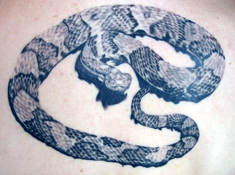 hanya snake by Julio Rodriguez: TattooNOW