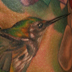 Tattoos - Hummingbird and Orchids - 41752