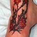 Tattoos -  - 44107