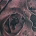 Tattoos - Skull w/ shroud - 5182