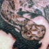 Tattoos - copperhead - 8759