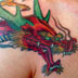 Tattoos - dragon water  - 12804