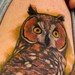 Tattoos - owl - 38253