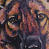 Tattoos - German Shepard - 3158