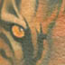 Tattoos - Tiger - 4632