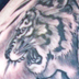 Tattoos - tiger - 29519