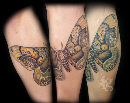 tattoos/ - Giant Moth leg tattoo by Haylo - 141613