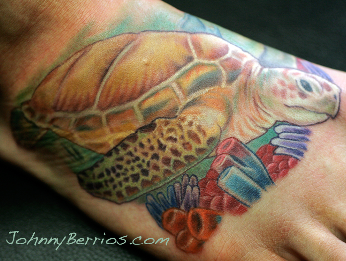 Johnny Berrios Turtle